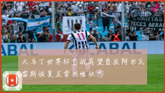 大马丁世界杯首战有望首发阿尔瓦雷斯恢复正常训练状态