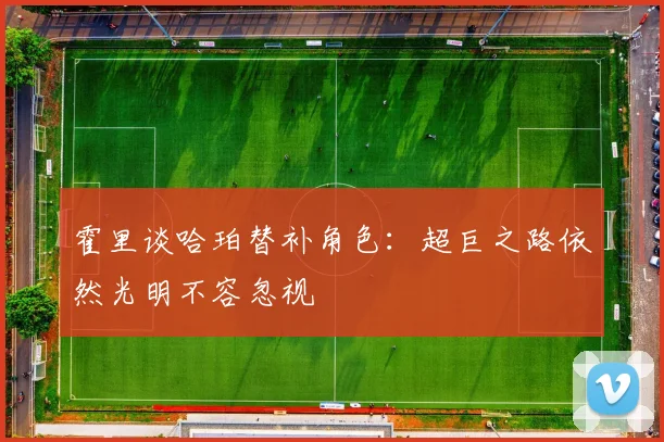 霍里谈哈珀替补角色：超巨之路依然光明不容忽视